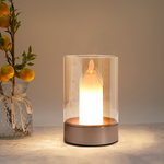 LedLight 1873.0