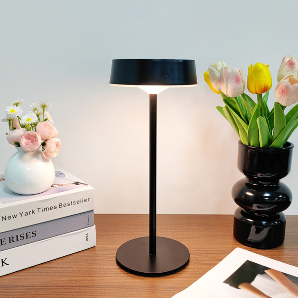 LedLight 1876